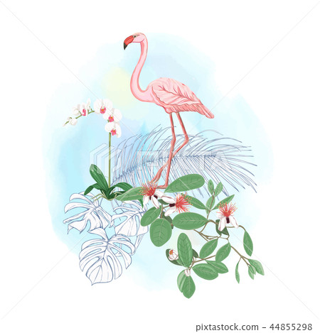 A composition of tropical plants, palm leaves A composition of tropical plants, palm leaves 44855298
