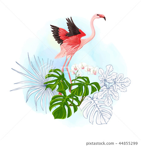 A composition of tropical plants, palm leaves A composition of tropical plants, palm leaves 44855299