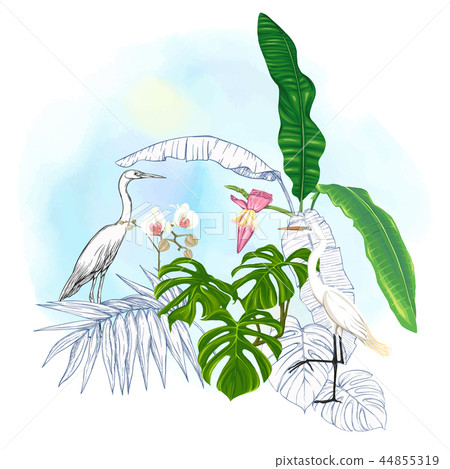 A composition of tropical plants, palm leaves A composition of tropical plants, palm leaves 44855319
