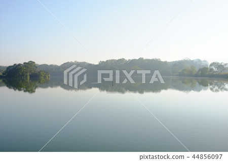 水禽和水池(奈良市佐吉町) 水禽和水池(奈良市佐吉町) 44856097