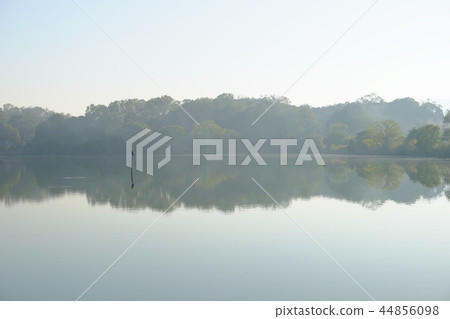 水禽和水池(奈良市佐吉町) 水禽和水池(奈良市佐吉町) 44856098