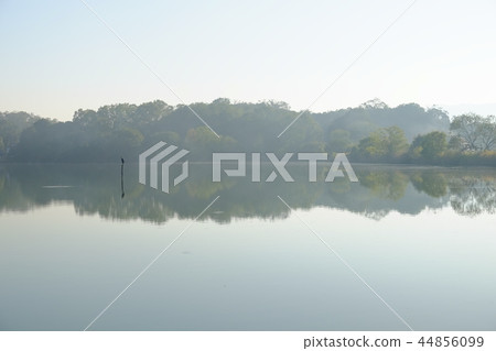 水禽和水池(奈良市佐吉町) 水禽和水池(奈良市佐吉町) 44856099