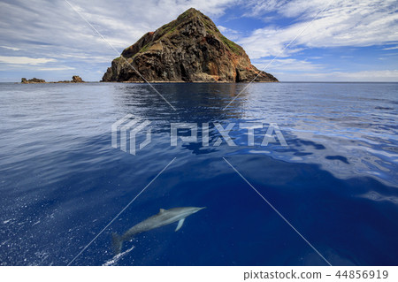 Ogasawara daughter island 44856919