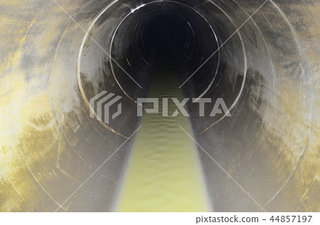在下水道內 44857197