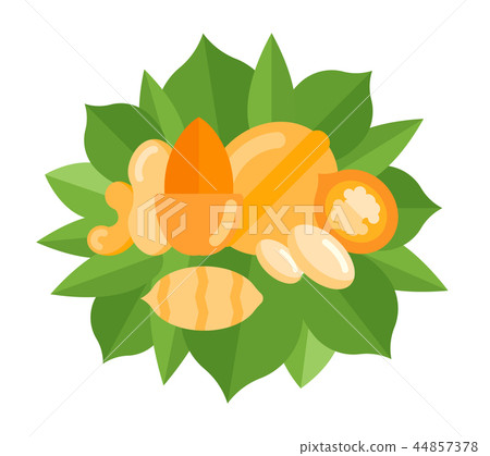 Vector Banner of Nuts. Vector Banner of Nuts. 44857378
