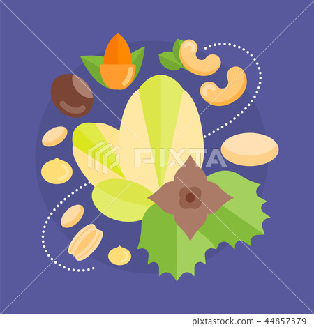 Vector Illustration of Nuts. Vector Illustration of Nuts. 44857379