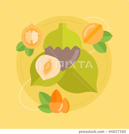 Vector Illustration of Nuts. Vector Illustration of Nuts. 44857380
