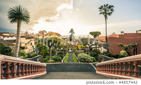 View on gardens in La Orotava in Tenerife, Spain. View on gardens in La Orotava in Tenerife, Spain. 44857442
