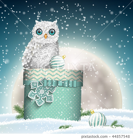 White owl with Christmas gift box and moon White owl with Christmas gift box and moon 44857548