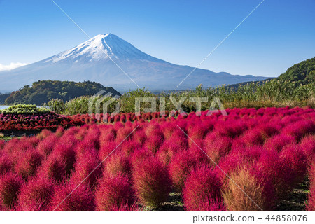 [富士山富士山] 44858076