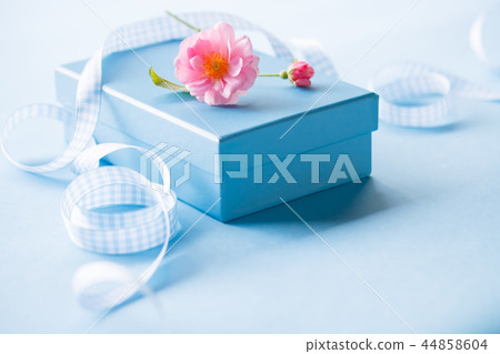 Present Present 44858604