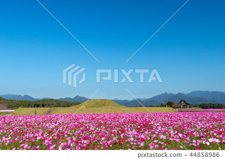 宮崎縣Nishitobaru墳塚的宇宙 44858986