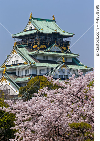 大阪城和櫻花 大阪城和櫻花 44858999