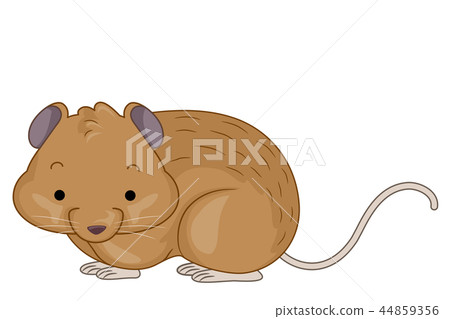 Vole Illustration Vole Illustration 44859356
