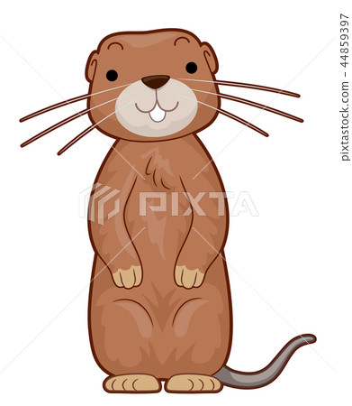 Gopher Illustration 44859397