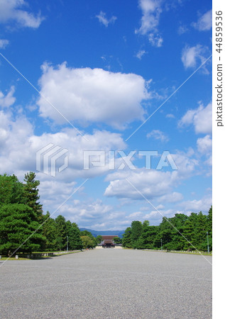 京都御苑 44859536