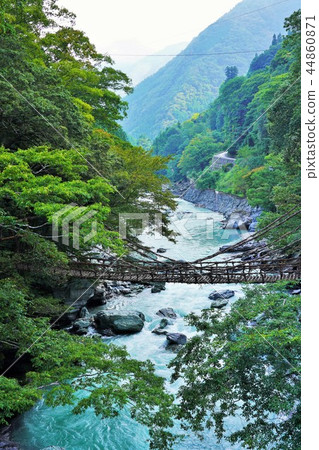 Kazura Bridge in Iya 44860871