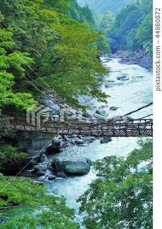Kazura Bridge in Iya Kazura Bridge in Iya 44860872