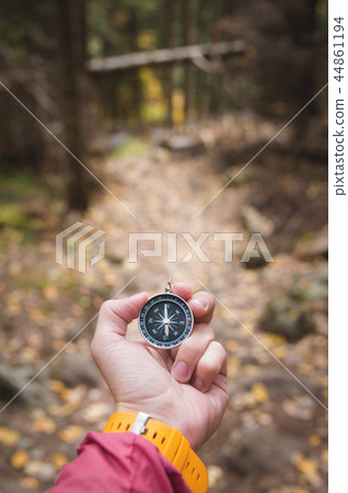 A beautiful male hand with a yellow watch strap holds a magnetic compass in the coniferous autumn A beautiful male hand with a yellow watch strap holds a magnetic compass in the coniferous autumn 44861194