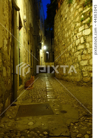 Where to look at the Dubrovnik cat 44863845