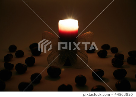 Chestnuts, candle and butterfly 44863850