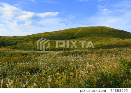 Fall Akiyoshidai dancing suki 44863995