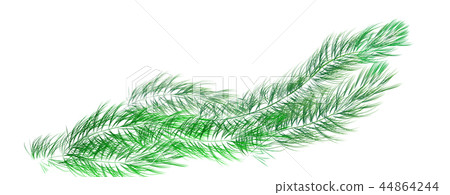 Water plants _ illustration Water plants _ illustration 44864244