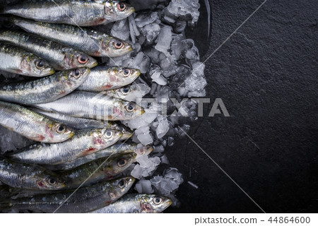 Raw sardine on ice offered Raw sardine on ice offered 44864600