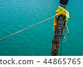 Boating knot rope tied around coconut tree.  44865765