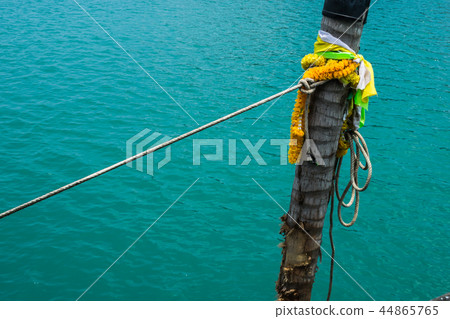 Boating knot rope tied around coconut tree. Boating knot rope tied around coconut tree. 44865765