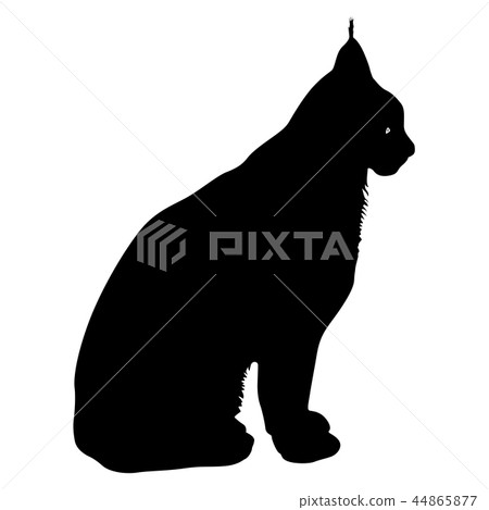 Silhouette of the Lynx on a white background - Stock Illustration ...