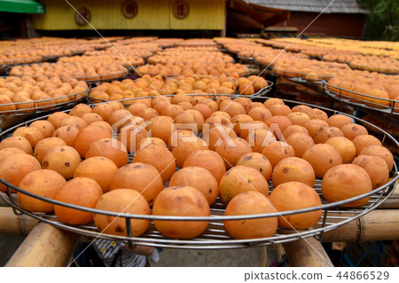 Taiwan autumn delicious fruit persimmon Taiwan autumn delicious fruit persimmon 44866529