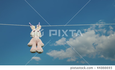 Plush rabbit hanging on a rope, dried in the sun Plush rabbit hanging on a rope, dried in the sun 44866693