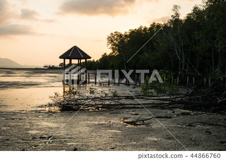Sunset at black sand beach Trad Province Thailand. 44866760