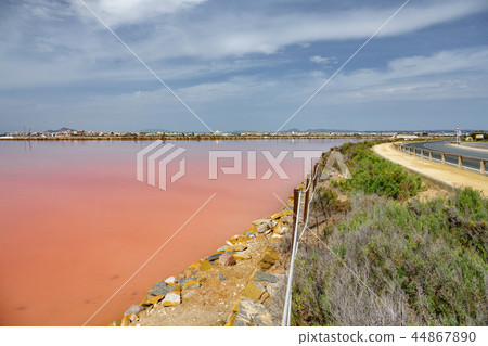Pink salt pool, bicycle lane and road in Murcia 44867890