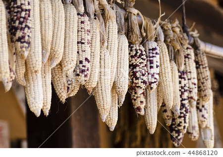 Yongin Folk Village Yongin Folk Village 44868120