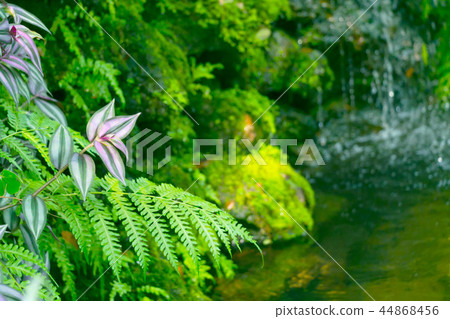 close up green garden with waterfall background 44868456