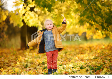 Boy during stroll in the forest at autumn day Boy during stroll in the forest at autumn day 44868705
