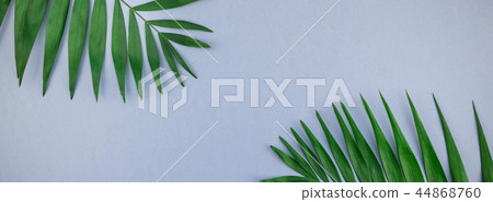 Tropical palm leaves on blue grey paper background 44868760