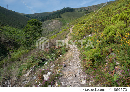 Camino Primitivo, Asturias, Spain Camino Primitivo, Asturias, Spain 44869570