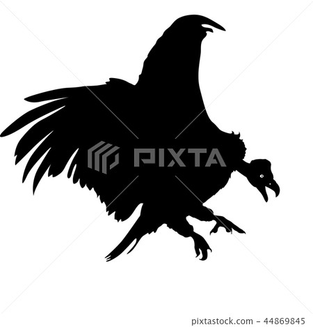Silhouette beautiful eagle on a white background 44869845