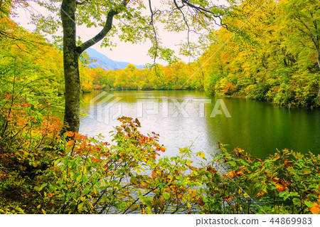 Kamoi pond in silence Kamoi pond in silence 44869983