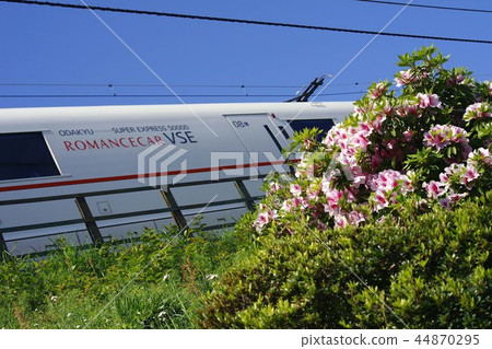 初夏的箱根路 44870295