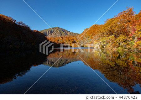 Hakkoda Akanuma早晨 Hakkoda Akanuma早晨 44870422