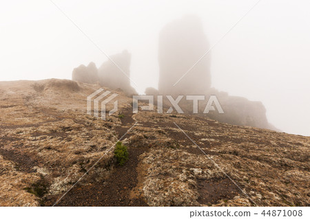 Trail to Roque Nublo Trail to Roque Nublo 44871008
