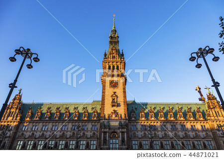 Old City Hall on Rathausmarkt in Hamburg 44871021