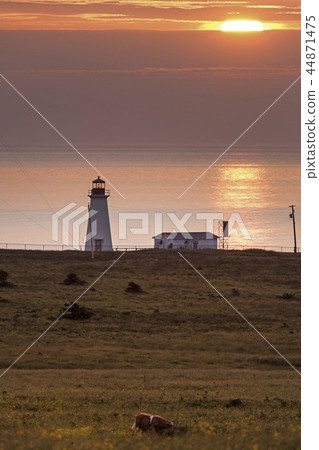 Lighthouse, Nova Scotia, Canada 44871475
