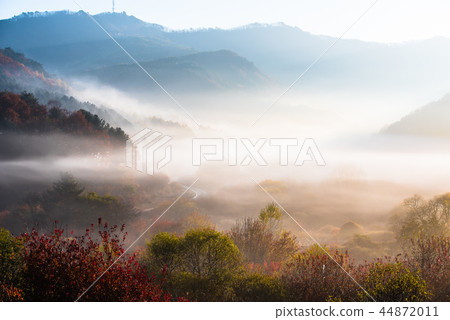 秋天的風景 秋天的風景 44872011