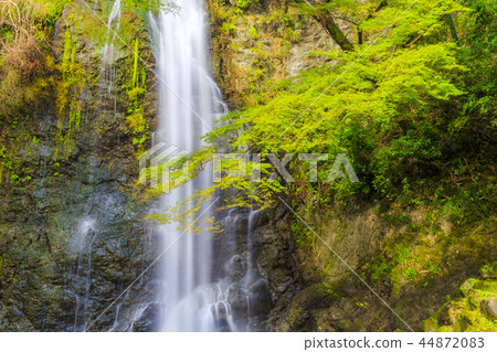 Waterfall landscape Minoh Waterfall landscape Minoh 44872083