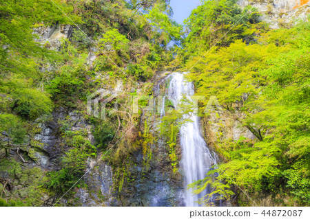 瀑佈景觀箕面 44872087